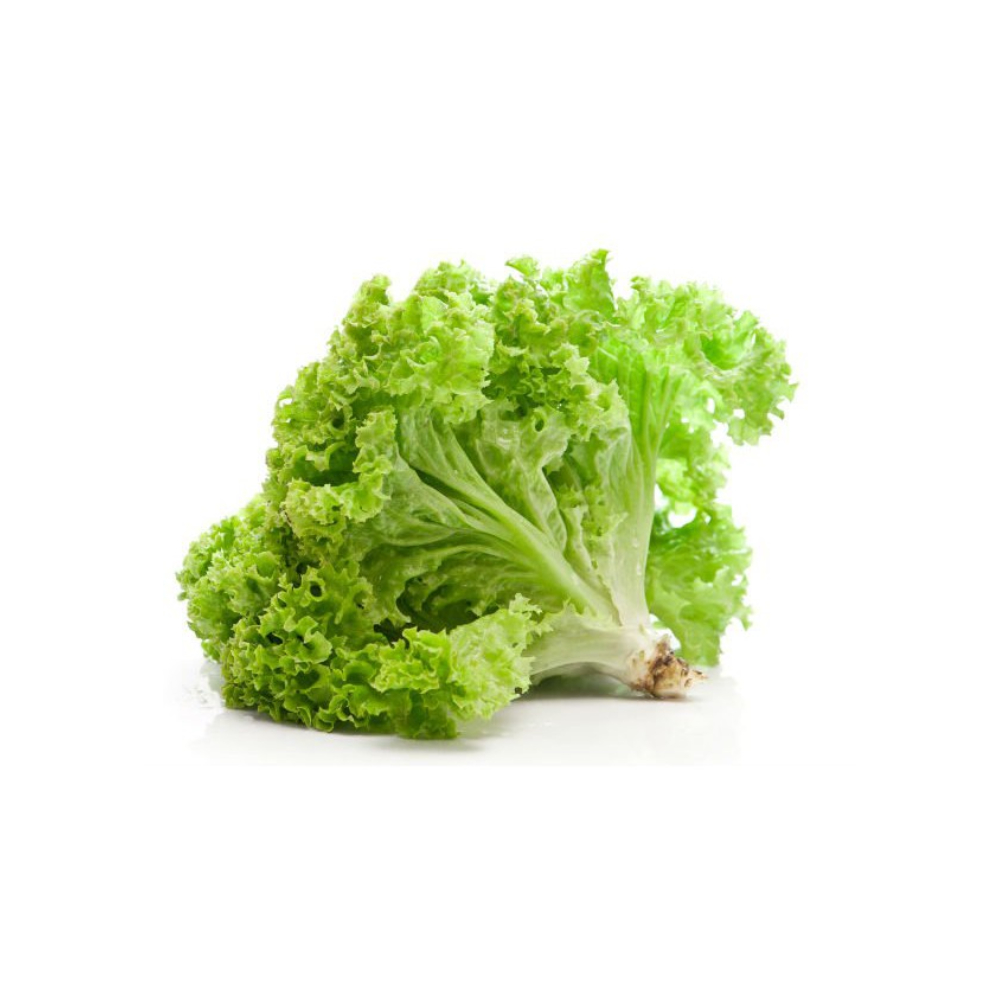 Salada Keriting
